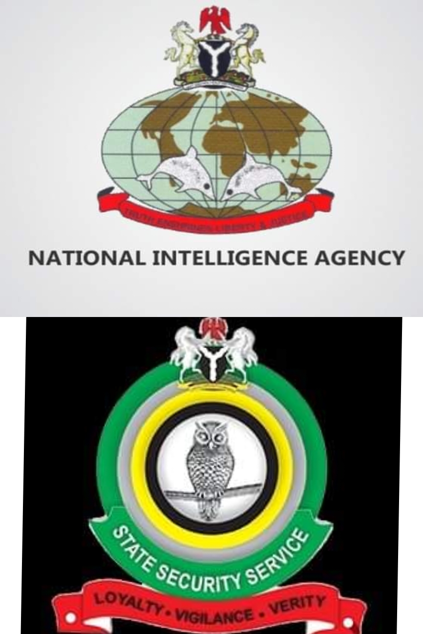 PRESIDENT TINUBU APPOINTS NEW DIRECTORS-GENERAL OF NIA, DSS